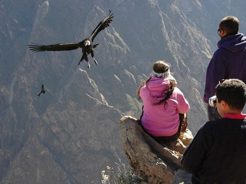 Arequipa - Machupicchu Traveel City